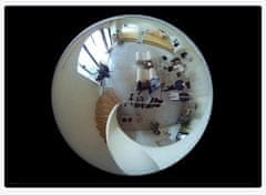 Reolink Fisheye P520 IP kamera, dvosmerna komunikacija, pametni alarm, siva