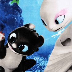 DreamWorks Kako izuriti svojega zmaja Hitro suha brisača za plažo, otroška kopalna brisača iz bombaža 70x140 cm OEKO-TEX