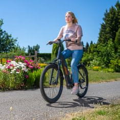 MTF Električno mestno kolo TOUR 8.5, 17", 95 Nm, baterija Samsung 36V/17 Ah (612 Wh) do 140 km, 10 prestav Shimano