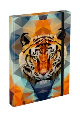BAAGL mape za šolske zvezke A4 Tiger