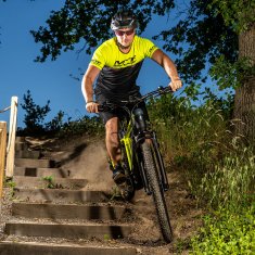 MTF Gorsko električno kolo Mount 8.5, (18"), 95 Nm, baterija Samsung 36 V/19.6 Ah (705 Wh) do 160 km, 11 prestav Shimano