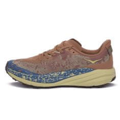 Hoka One One Čevlji obutev za tek 42 EU Speedgoat 6