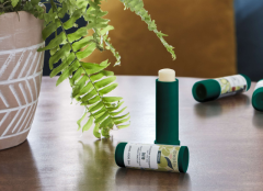 The Body Shop Vlažilni balzam za ustnice v obliki palčke z olivami 4,2 g