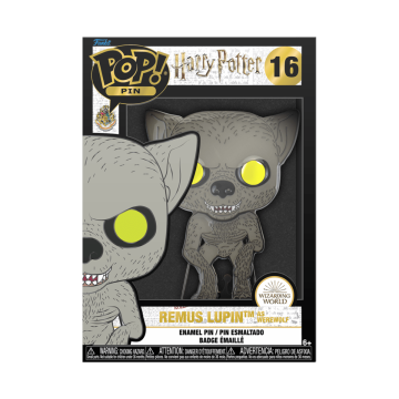 Funko POP! PIN: HARRY POTTER - REMUS LUPIN
