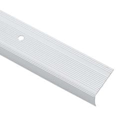 Vidaxl Robniki za stopnice 10 pcs srebrna 67 cm Aluminij