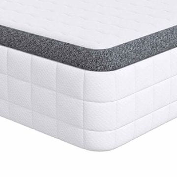Vidaxl Vzmetnica 2 pcs Bela in siva 80 x 200 cm Bonell vzmet