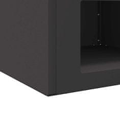 Vidaxl Ogenj Črna 50 x 50 x 40 cm Jeklo