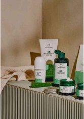 The Body Shop Aloe blagodejni tonik za kožo 250 ml