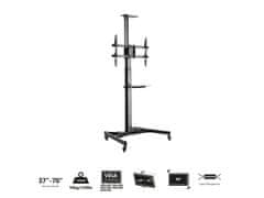 Ewent Stojalo za TV EW1540, 37-70", s polico