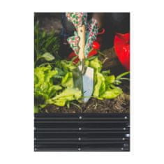 GARDEN LINE Kovinska GALVANIZIRANA greda, ZELENJAVNI VRT, zeliščni vrt, cvetlična greda, ovalna, ANTRACIT 120x60x30 cm 
