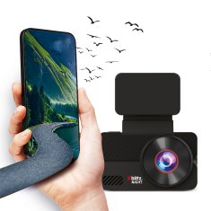 shumee Xblitz noč 2