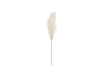 PartyDeco Umetna pampas trava, 15x110 cm, svetlo krem