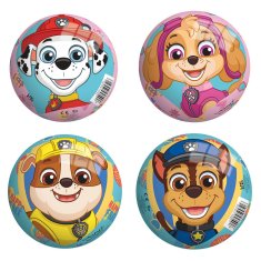 Denis Žoga Paw Patrol 13 cm, izbor