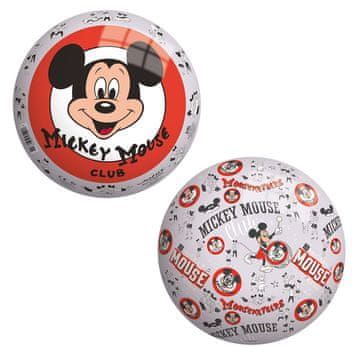 Denis Žogica Disney 100, 23 cm, raznobarvna