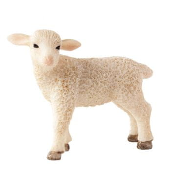 Denis Jagnječje meso