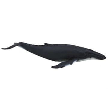 Denis Kit grbavec deluxe