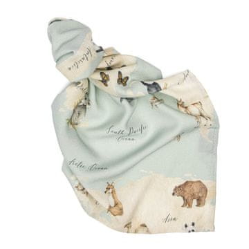 shumee Bambusova plenica - Zemljevid sveta