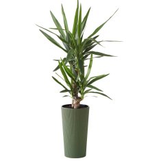shumee Urbanika ECO lesen cvetlični lonec zelen h57 cm