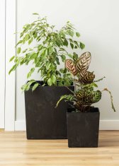 shumee Cvetlični lonec iz črnega betona Flore h25x25 cm