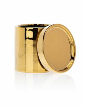 shumee Hanya Gold lonec za rože s krožničkom 11 cm