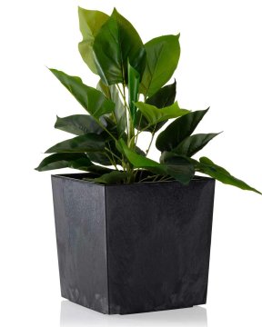 shumee Cvetlični lonec iz črnega betona Flore h25x25 cm