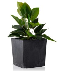 shumee Cvetlični lonec iz črnega betona Flore h25x25 cm