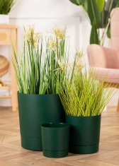 shumee Lonček za avokado Azalea s krožničkom 22 cm