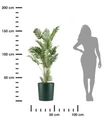 shumee Lonček za avokado Azalea s krožničkom 35 cm