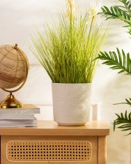 shumee Krem cvetlični lonec Aloe Texelle h20x19,5