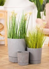 shumee Recikliranje cvetličnega lonca Azalea s krožnikom