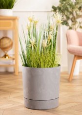 shumee Recikliranje cvetličnega lonca Azalea s krožnikom