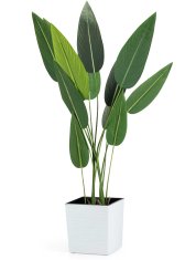 shumee Flore Riflo cvetlični lonec bel h25x25 cm