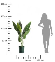 shumee Lonček za avokado Azalea s krožničkom 22 cm