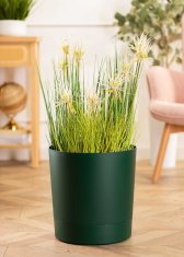 shumee Lonček za avokado Azalea s krožničkom 22 cm