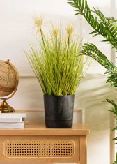 shumee Cvetlični lonec Azalea s krožnikom, recikliran črni beton, 22 cm