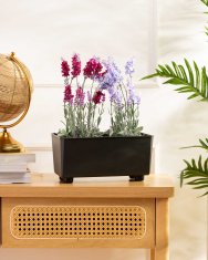 shumee Cvetlična škatla Salvia antracitna