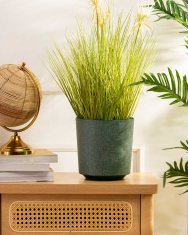 shumee Aloe Texelle avokado cvetlični lonec h20x19,5