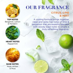 Baylis & Harding Darilni set citrusov, limete in mete, komplet 2 kosov
