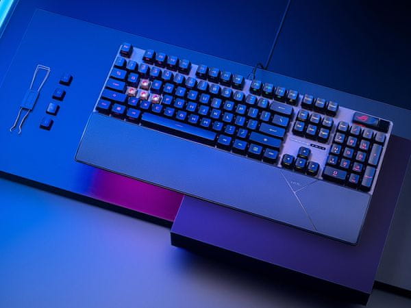 Hitrost in odzivnost z optičnimi stikali ROG RX