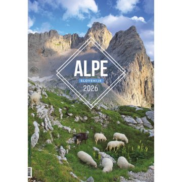 PIGO Koledar stenski alpe slovenija 2026