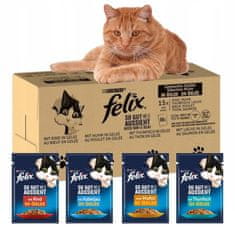 shumee Purina Felix mokra hrana za mačke mešanica okusov 120 x 85 g