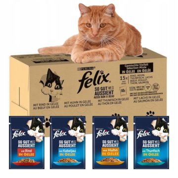 shumee Purina Felix mokra hrana za mačke mešanica okusov 120 x 85 g