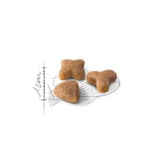 shumee ROYAL CANIN mačja hrana Sensible 33 suha mešanica 10 kg