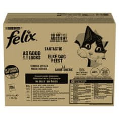 shumee PURINA FELIX FANTASTIC mešanica podeželskih okusov 120 x 85 g