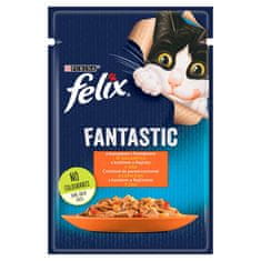 shumee PURINA FELIX FANTASTIC mešanica podeželskih okusov 120 x 85 g