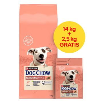 Purina PURINA Dog Chow Sensitive Losos - suha hrana za pse - 16,5 kg