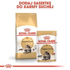 shumee Royal Canin FBN hrana za mačke pasme Maine Coon 10 kg