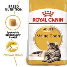 shumee Royal Canin FBN hrana za mačke pasme Maine Coon 10 kg