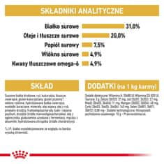 shumee Royal Canin FBN hrana za mačke pasme Maine Coon 10 kg