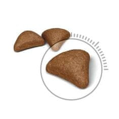 shumee ROYAL CANIN mačja hrana Hairball Care 34 suha mešanica 10 kg suhe hrane za mačke